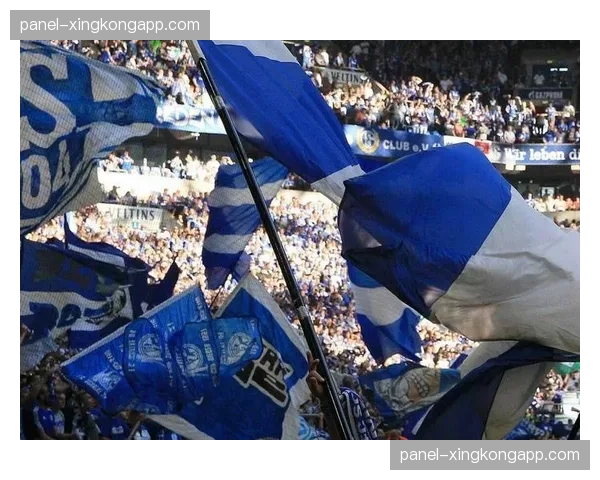 特写:沙尔克04主场告别战,数万球迷高歌送别降级命运 特写:沙尔克04主场告别战,数万球迷高歌送别降级命运